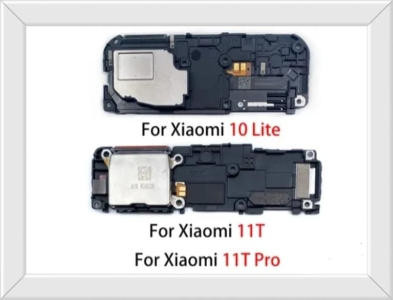 WhatsApp-Image-2025-08-08-at-9.42.06-AM-4